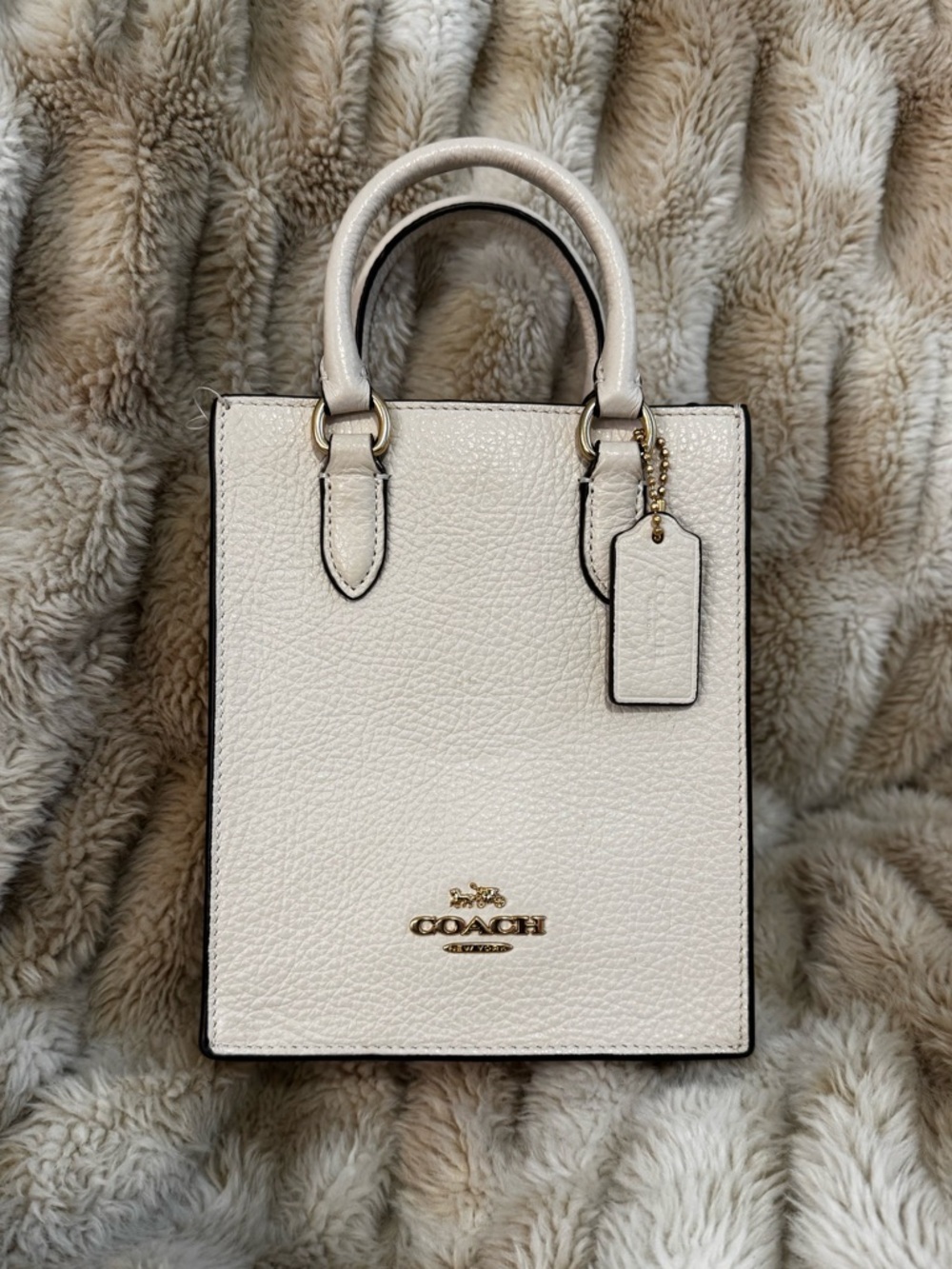 Coach North South Cream Pebbled Leather Mini Tote